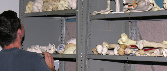 Student in the Anatomy Lab